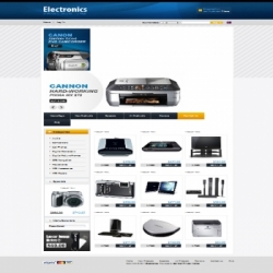 Electronic Web Stores 07